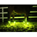 Animal Light LED illuminated gaiters Threeple Set of 4