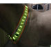 Animal Light LED light neck strap 20