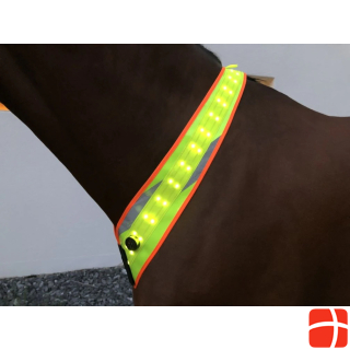 Animal Light LED light neck strap 20