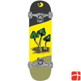 Best Sporting Skateboard A7 Mushrooms