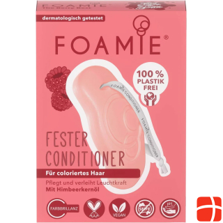 Foamie Fester Conditioner The Berry Best