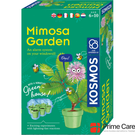 Kosmos Mimosa garden, d/f/i experimental kit, 6 pots, from 6 years old