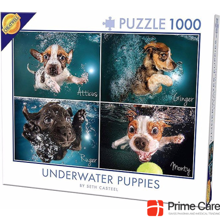 Cheatwell Games Underwater Dogs