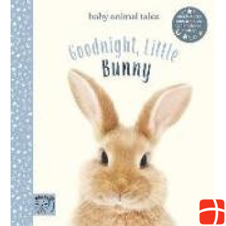 Abrams & Chronicle Goodnight, Little Bunny