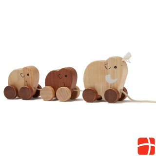 Kids Concept Mammutfamilie