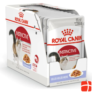 Royal Canin FHN Instinctive Jelly