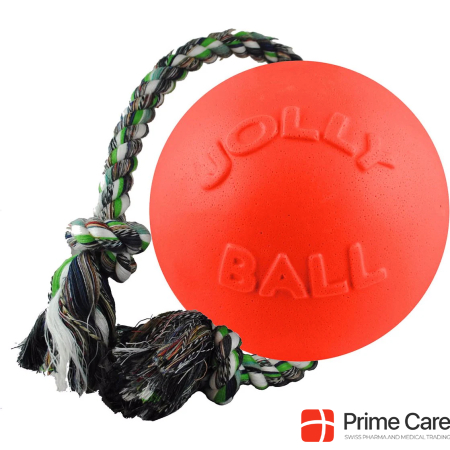 Jolly Pets Dog ball Rompnroll