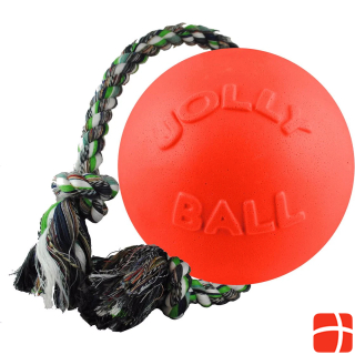 Мяч для собак Jolly Pets Rompnroll