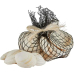 Lene Bjerre Scatter decoration shells Shelia 17 cm, White