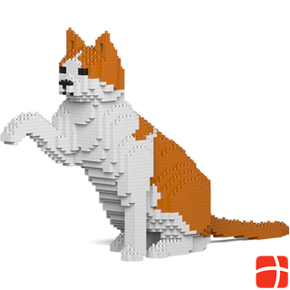 Jekca Limited Cat orange / white