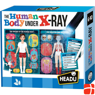 Headup Games The human body under the X-ray puzzle game