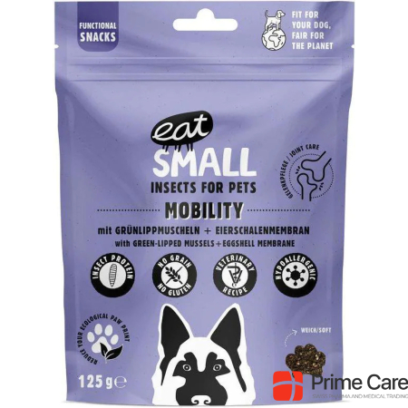 Eat Small Dog snack Mobility with insects