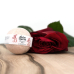 Herba di Berna Bath ball rose