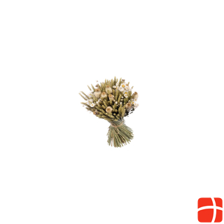 Anjel Dried flowers with cardboard box White/Green