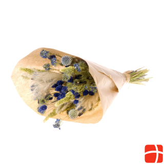 Букет из сухоцветов Анжел Молли натуральный/голубой