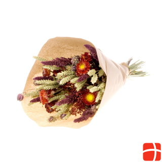 Anjel Dried Flowers Bouquet Ashley Nature/Red