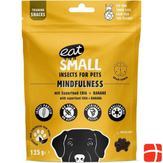 Eat Small Dog snack Mindfulness with insects