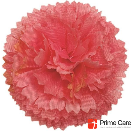 Craft Buddy Pink, Classic Carnations Forever Flowerz - Makes 30