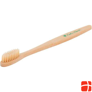 Croll & Denecke Toothbrush