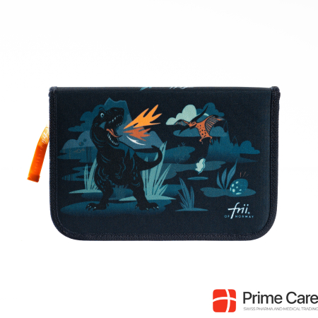 Frii of Norway Pencil Box - Dino (22124)