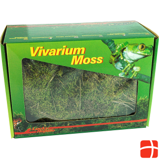 Lucky Reptile Vivarium moss