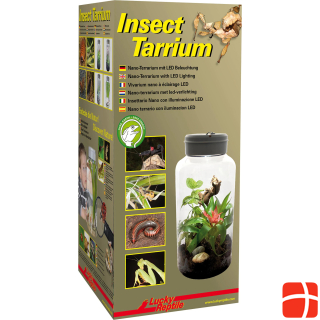 Тарриум для насекомых Lucky Reptile 15x15x25см