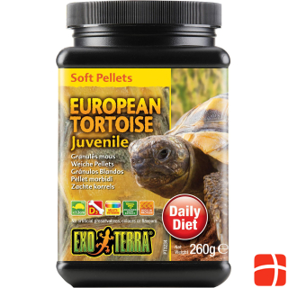 Exo Terra European Tortoise Juvenile