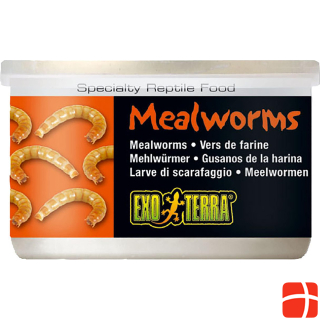 Exo Terra Reptile food Mealworms 34g