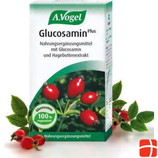 A. Фогель Глюкозамин Плюс (120 таб)