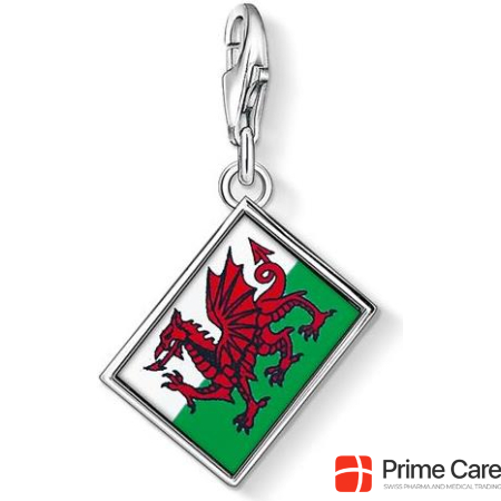 Thomas Sabo Charms/Beads Flag Wales