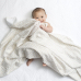 aden + anais Classic Swaddle