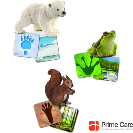 Schleich Cards Wildlife