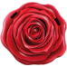 Intex Red Rose