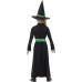 Fasnacht Wicked Witch