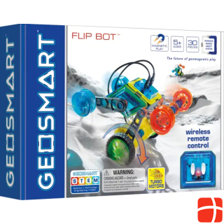 GeoSmart flip bot