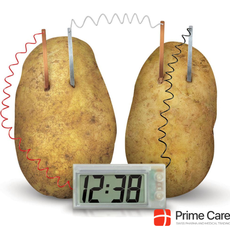 4M Kit for a potato clock Green Science