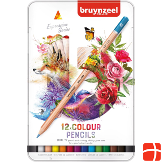 Bruynzeel Colored pencils Expression Colour metal case, 12 pieces