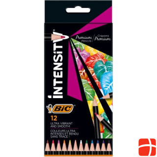 Bic Color pencils Intensity