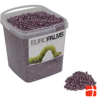 Europalms Expanded clay balls, cassis, 5.5l bucket