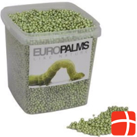 Europalms Expanded clay balls, lime, 5.5l bucket