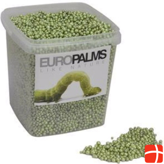 Europalms Expanded clay balls, lime, 5.5l bucket