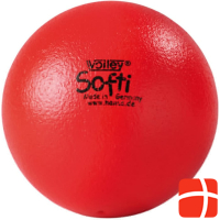 Волейбольный софтбол: Softi