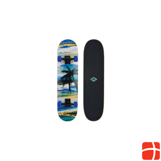 Schildkröt Skateboard Slide 31, Aloha