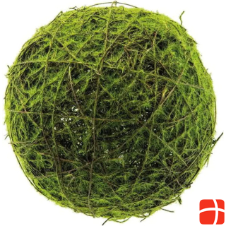 Dekomat Wickerwork moss ball Ø 16 cm, green