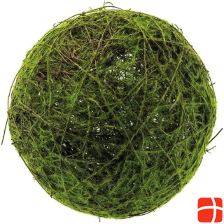 Dekomat Wickerwork moss ball Ø 25 cm, green