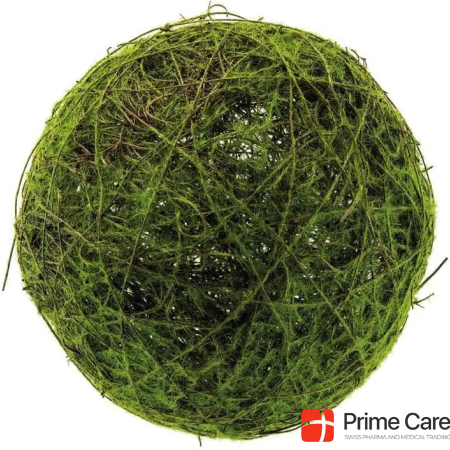 Dekomat Wickerwork moss ball Ø 25 cm, green