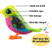 Silverlit DigiBirds Love Bird Bird Interactive