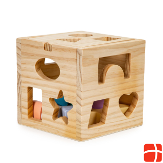 EcoToys Развивающий деревянный кубик с кубиками 