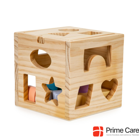 EcoToys Educational wooden cube with blocks 