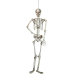 Europalms Halloween skeleton, 150 cm